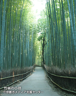 竹林の小径 ©京都市メディア支援センター