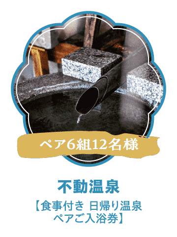 不動温泉【食事付き 日帰り温泉ペアご入浴券】（ペア6組12名様）