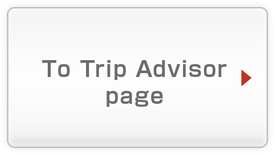 To Trip Advisor page