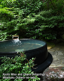 Ohara hot store springs